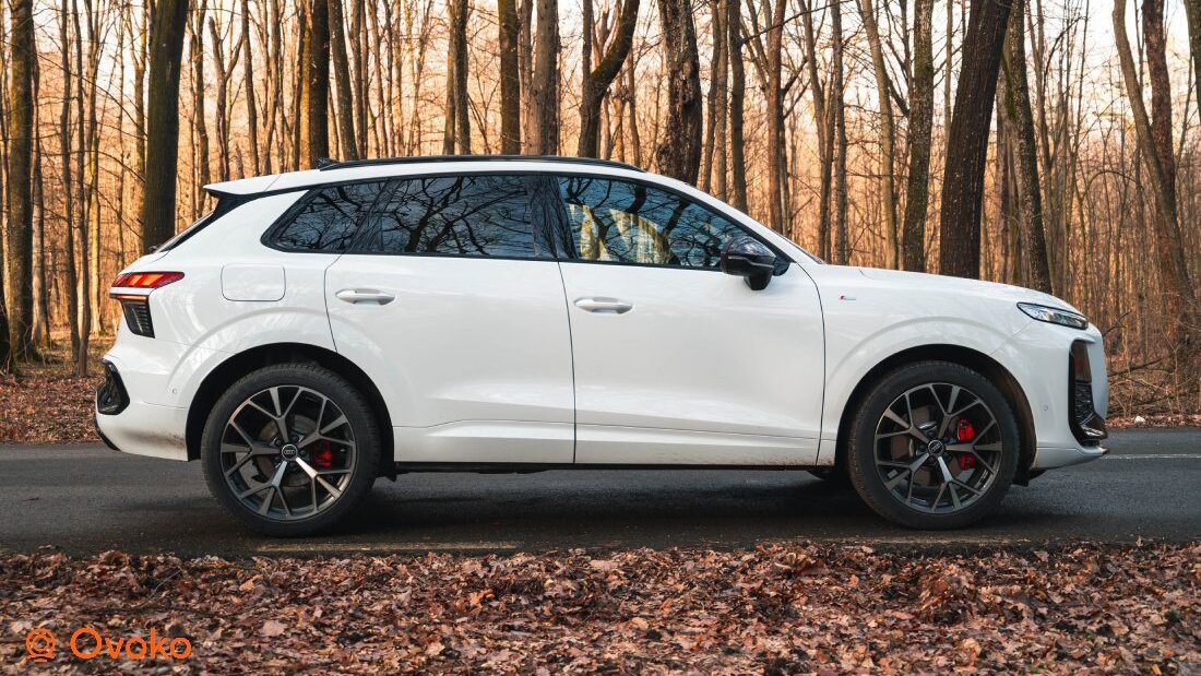 audi q3 problemas​
